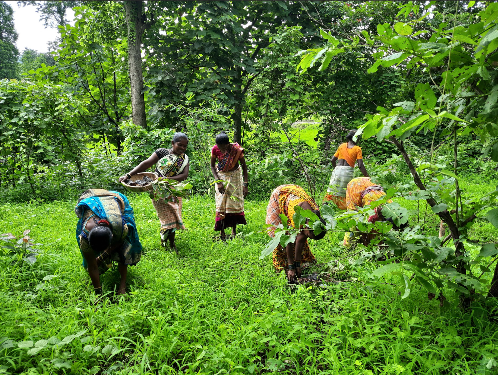 Farmers Tansa Valley