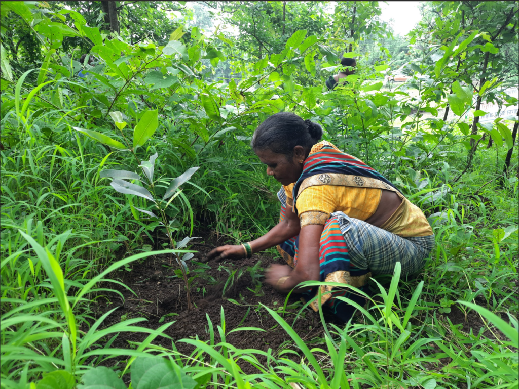 Farmer planting tree